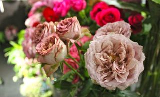 IMG_0068.jpg