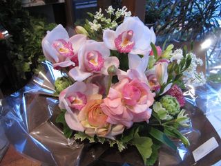 IMG_1550.jpg