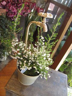 IMG_1607.jpg