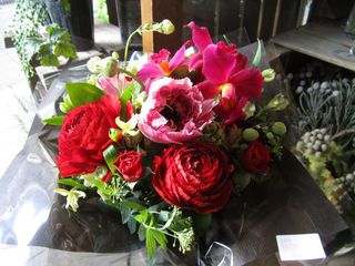 IMG_1618.jpg