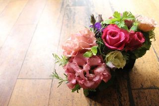IMG_1654.jpg