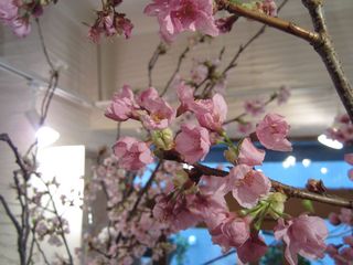 IMG_1792.jpg