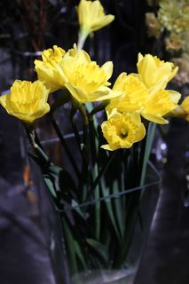 IMG_2090.jpg