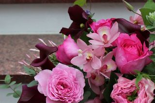 IMG_3259.jpg