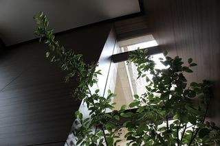 IMG_4399.jpg