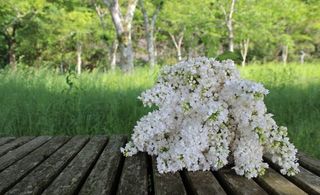 IMG_4839.jpg