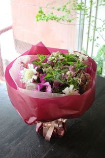 IMG_5846.jpg