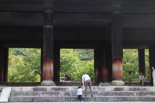 IMG_8020.jpg