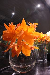 IMG_9651.jpg